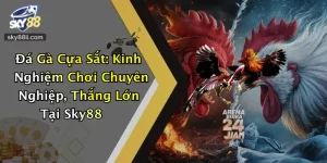 Đá Gà Cựa Sắt: Kinh Nghiệm Chơi Chuyên Nghiệp, Thắng Lớn Tại Sky88
